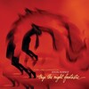 Terri Lyne Carrington & Social Science, Trip the Night Fantastic