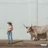 Kacey Musgraves, Middle of Nowhere (Explicit)