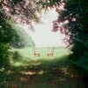 Ratboys, Singin' to an Empty Chair (Deluxe)