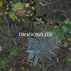 Dragonflies, Dragonflies