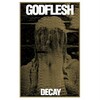 Godflesh, Decay