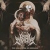 Crown Magnetar, The Hollowing Of Godflesh