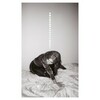 Julia Holter, Materia