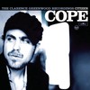 Citizen Cope, The Clarence Greenwood Recordings