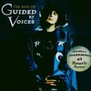 Guided by Voices, Human Amusements at Hourly Rates: The Best of Guided by Voices