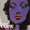 Citizen Cope, Every Waking Moment