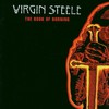 Virgin Steele, The Book of Burning