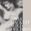 Steve Hackett, Wild Orchids