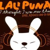 Lali Puna, I Thought I Was Over That: Rare, Remixed and B-Sides