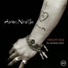 Aaron Neville, Nature Boy: The Standards Album