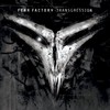 Fear Factory, Transgression