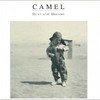 Camel, Dust and Dreams