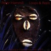 Peter Hammill, Loops & Reels