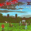 Mr. Mister, Welcome to the Real World
