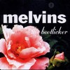 Melvins, The Bootlicker