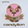 Gruff Rhys, Candylion