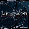 Life of Agony, Broken Valley