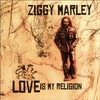 Ziggy Marley, Love Is My Religion