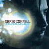 Chris Cornell, Euphoria Morning