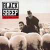 Black Sheep, A Wolf in Sheep's Clothing