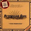 Nuyorican Soul, The Remixes