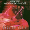 Digital Underground, Sons of the P
