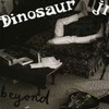 Dinosaur Jr., Beyond