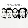 The Wildhearts, The Wildhearts