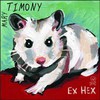 Mary Timony, Ex Hex