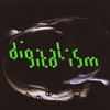 Digitalism, Idealism