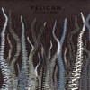 Pelican, City of Echoes