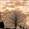 Peter Cetera, Another Perfect World