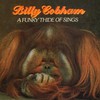 Billy Cobham, A Funky Thide of Sings
