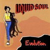 Liquid Soul, Evolution