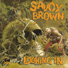 Savoy Brown, Looking In