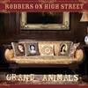 Robbers on High Street, Grand Animals