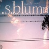 F.S. Blumm, Zweite Meer