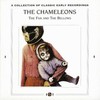 The Chameleons, The Fan and the Bellows