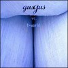 GusGus, Gus Gus vs. T-World