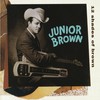 Junior Brown, 12 Shades of Brown