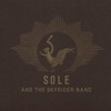 Sole & The Skyrider Band, Sole and the Skyrider Band