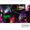 Cranes, Live in Italy