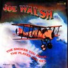 Joe Walsh, The Smoker You Drink, The Player You Get