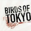 Birds of Tokyo, Day One