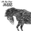 The Big Sleep, Sleep Forever