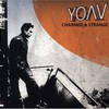 Yoav, Charmed & Strange