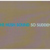 The Hush Sound, So Sudden