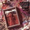 Giant Sand, The Love Songs