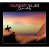 Sebastien Tellier, Sexuality