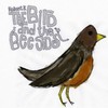 Relient K, The Bird and the Bee Sides